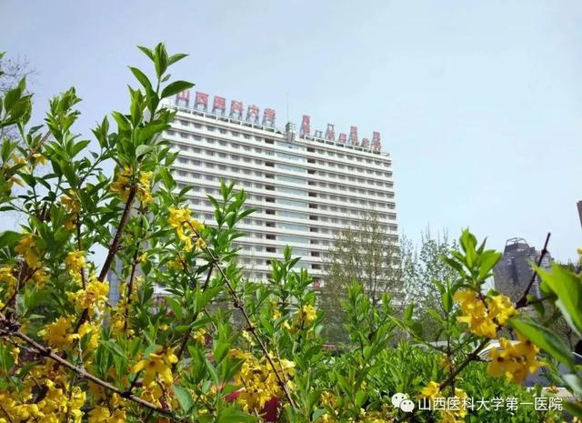 山西医科大学第一医院2022年5月门诊医师出诊表