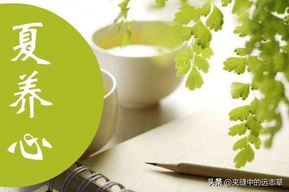 夏季当养心，心主血脉，气血瘀滞，则百病生，讲一个活血的小方子