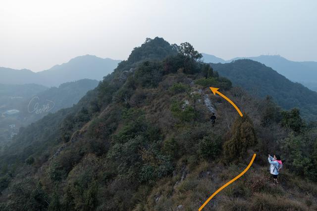 杭州登山徒步路線17：野路有趣，但不建議盲目去爬
