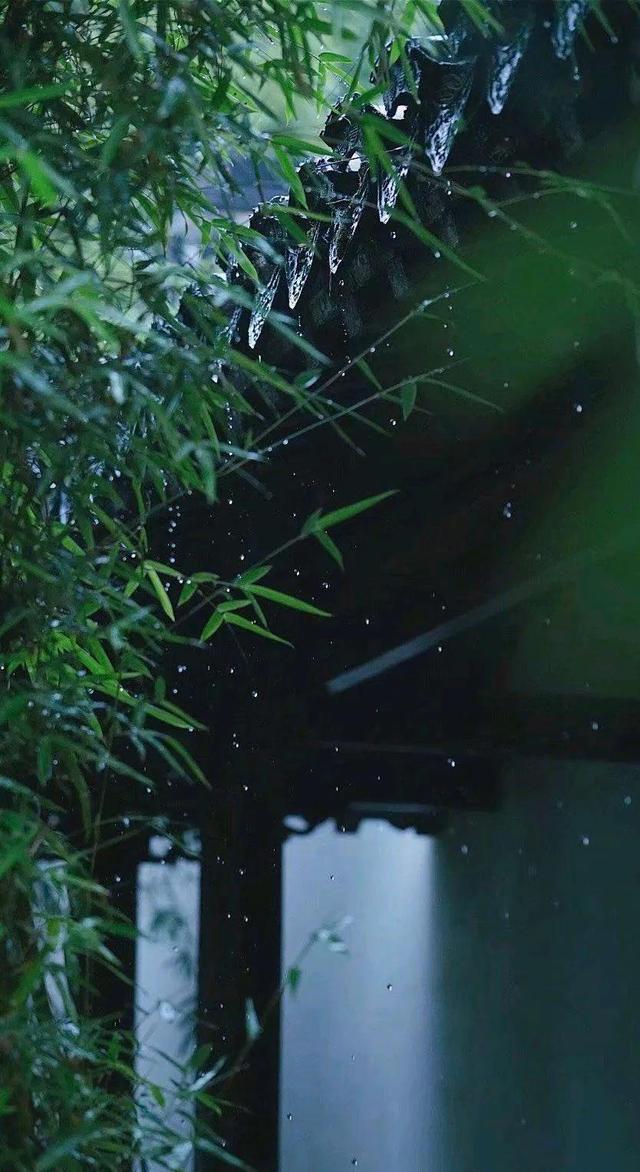 初夏的细雨