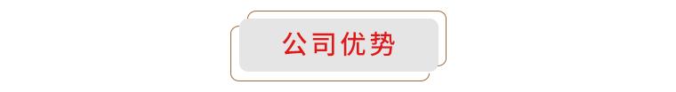 美国破碎机公司纽维尔