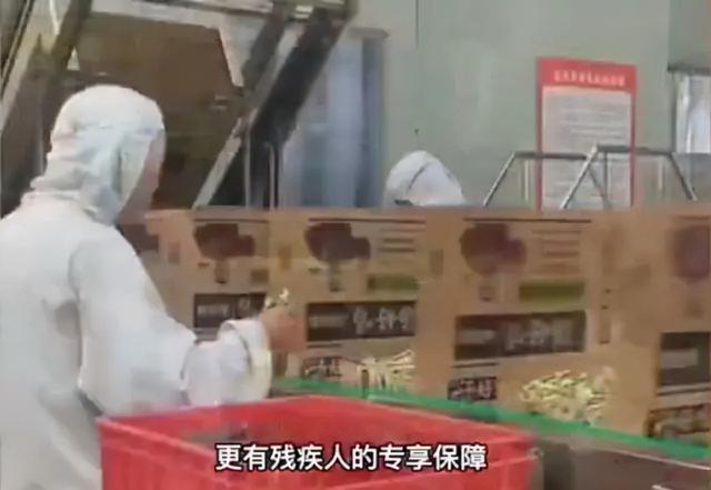315老坛酸菜事件，一代人的童年幻想破灭了