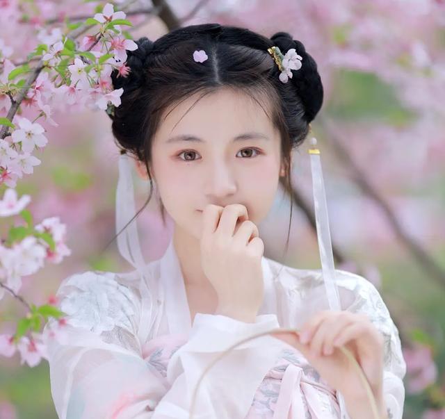 古装剧大女主发型盘点(古装剧发型大盘点)-锐牛沃德讯息网