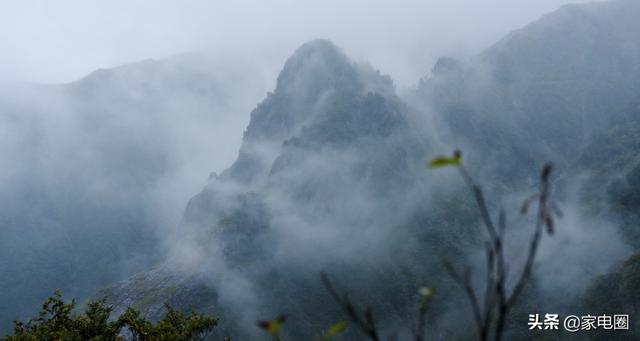 6205345905_d59a564256-160x160