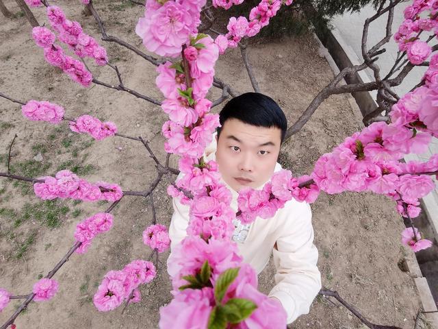 总结自己的人生篇