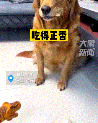 今日科技热点：印度还能要脸吗？明目张胆偷北京大兴机场图炫耀？