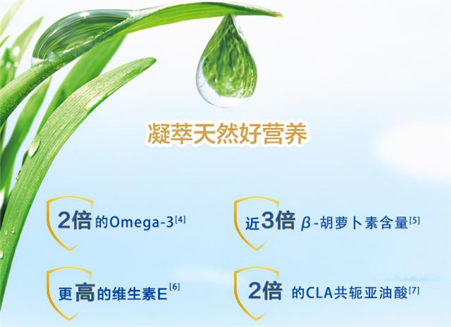 看完这份指南，金领冠睿护买起来