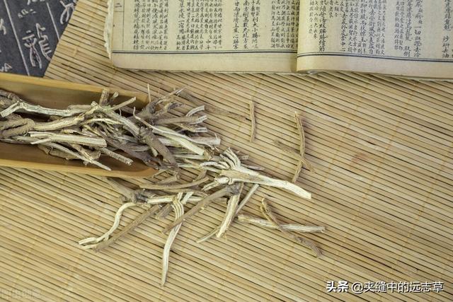 肝胆结石？讲九味中药，兵分三路，一路排石，一路疏肝，一路止痛