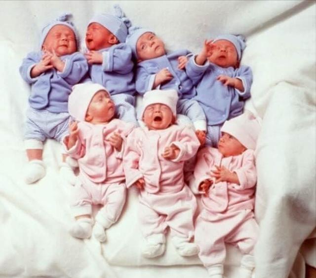 24年前，轰动世界的全球首例七胞胎，现已长大成人，离开获赠别墅