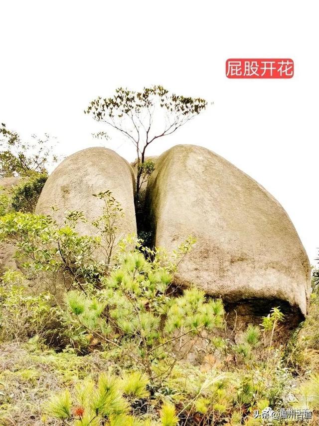 大羅山有處二師兄奇石，惟妙惟肖，你可找到過？