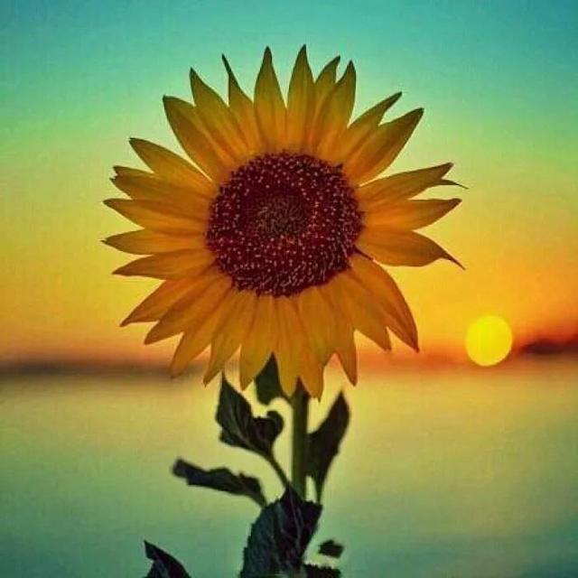 影响孩子学习成绩的四个因素，你知道吗？尤其最后一个很关键