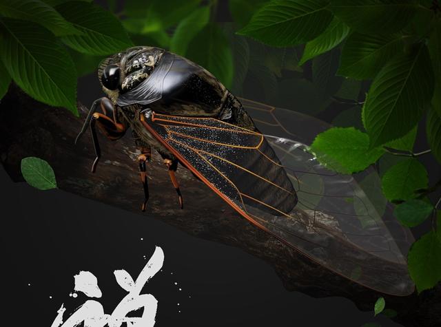 为什么我们一直都不建议营养师学中医理论呢？