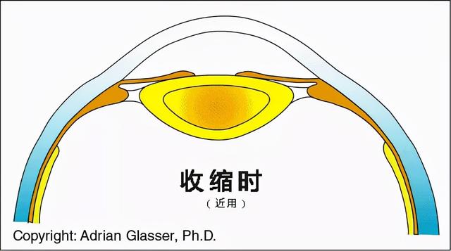 真性假爱