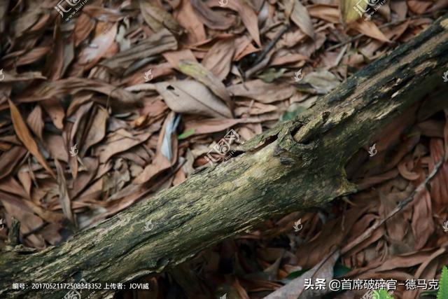 优质破碎机出租多少钱