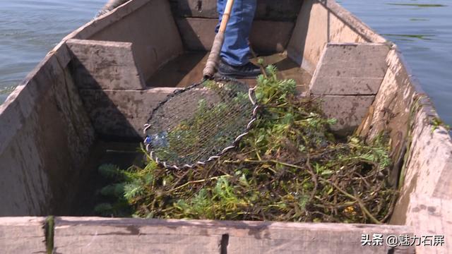 「节日我在岗」坚守岗位 只为异龙湖水清岸绿景美
