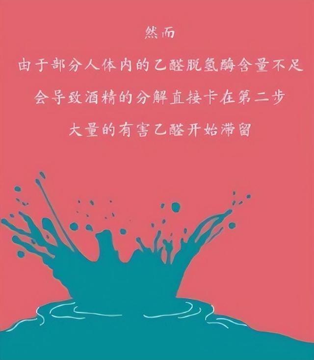 为什么要戒酒？科普：喝酒后人体24小时的变化，看完你还会喝酒吗