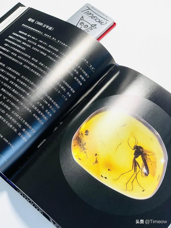 与娃共读-盘一盘半年内买过的好绘本