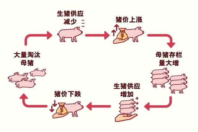 改变中国猪业！牧原、温氏做不到的事，要被阿里巴巴实现了