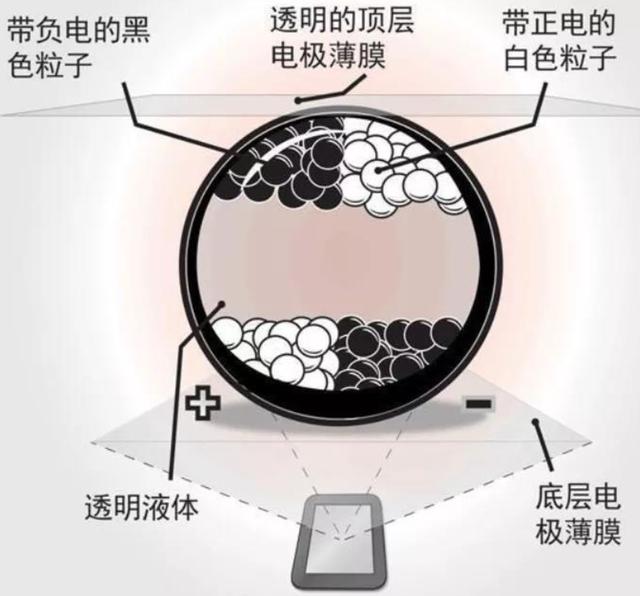 “车管所头很痛”，宝马发明变色车身，未来国产车的标配？