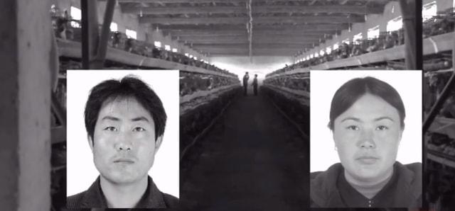 2010年，少妇与奸夫雇凶谋害亲夫，因火化记录暴露这起离奇反杀案