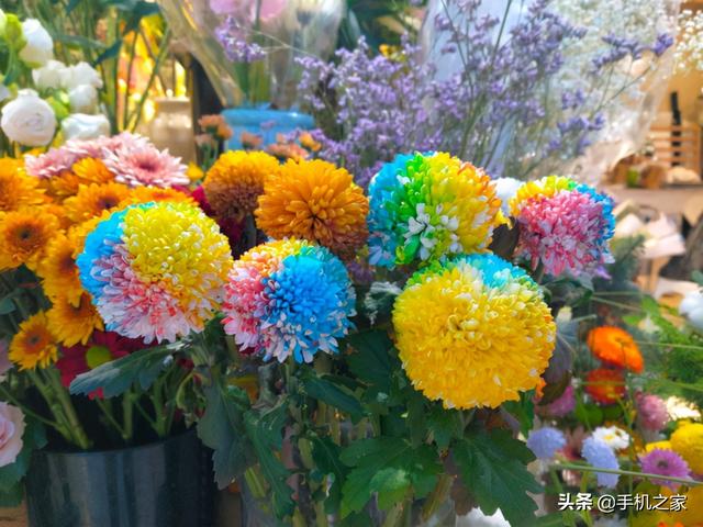 畅快长续航性能小钢炮 iQOO U5评测-第10张图片-9158手机教程网