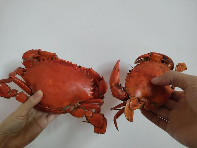 怀孕可以吃螃蟹吗？