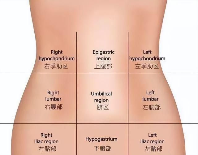 肚子痛到底是哪里痛?一张"腹部地图",让你了解腹痛_健康症状网