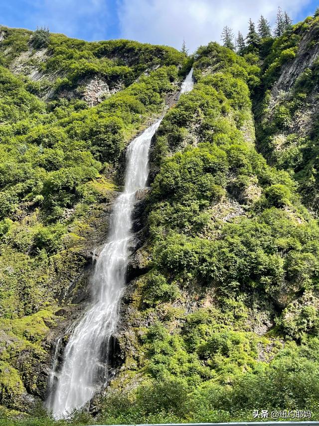 夢幻荒野阿拉斯加（14）Valdez看熊抓魚和三文魚洄遊