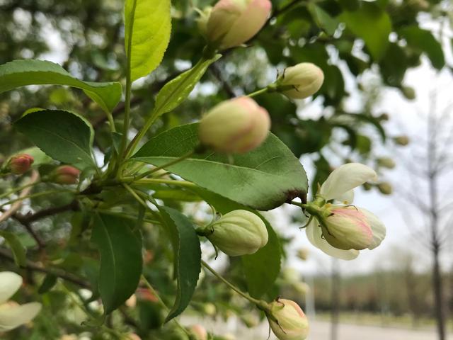 闲煮光阴慢品茶 从容不迫度年华