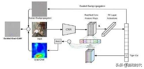 稀疏&集成的卷积神经网络学习