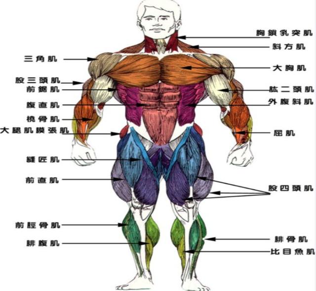 航天员返回地球后，为何站不起来，要坐在椅子上？牺牲太大了