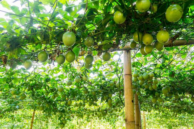 广东建展工程机械