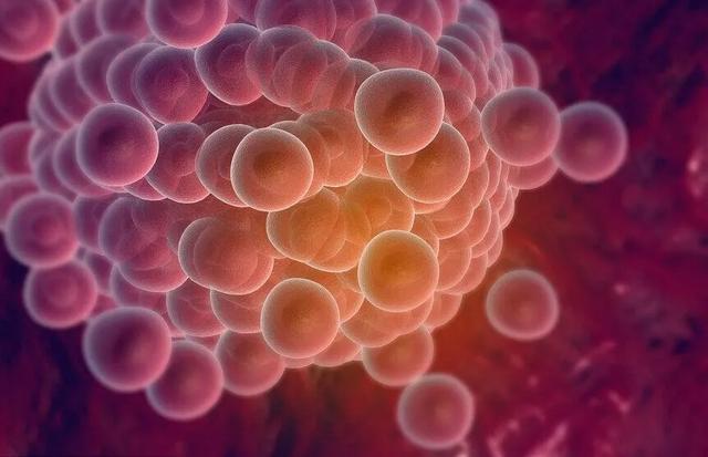 低评分胚胎会成低质宝宝吗？