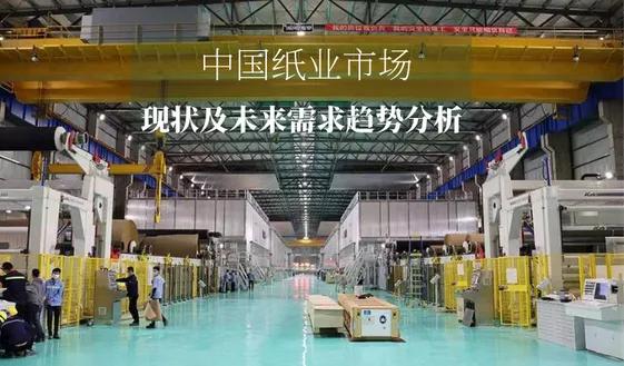 庄向群：中国纸业市场现状及未来需求趋势分析