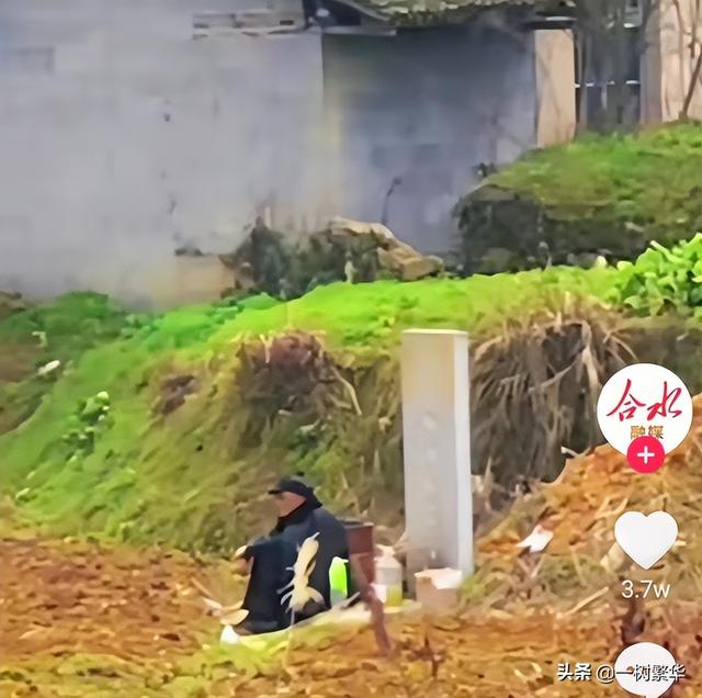 坟墓前，坐了一天的老爷爷不愿意回家，知情人称：老爷爷心里苦啊