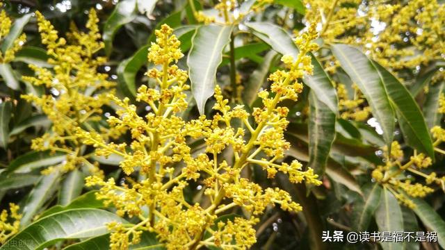 郑州附近的捶击破制砂机厂家
