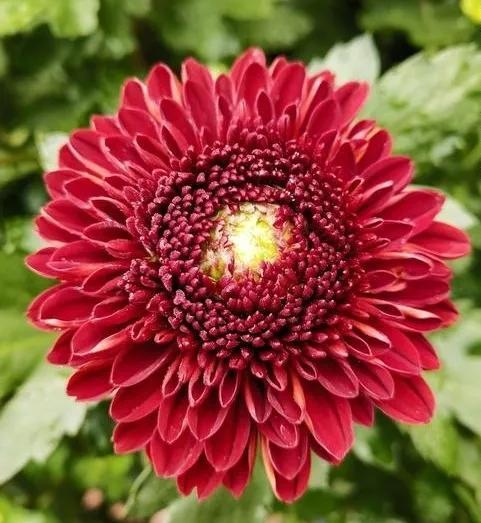 人间最美四月天，百花开满园