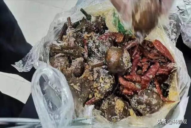 屡次发生！村民种罂粟近千株，炒菜当味精放，殊不知已经犯法