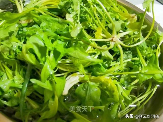 清明时节吃什么？健康一身轻
