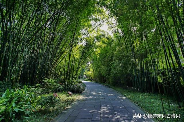 旗展山谷月儿弯打一工程材料