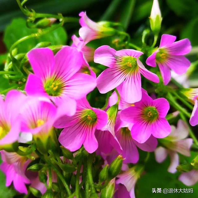今日好心情，幸福来敲门