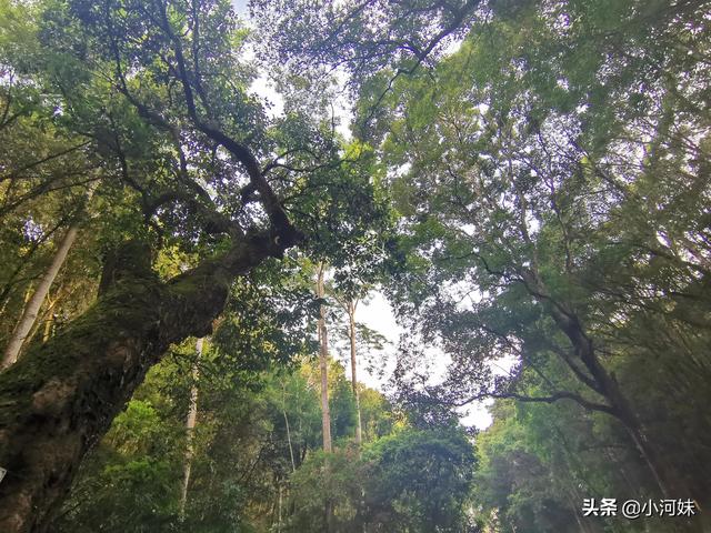 廣東粵北有座道觀，全國唯一一處以福字命名，其景觀更是一絕