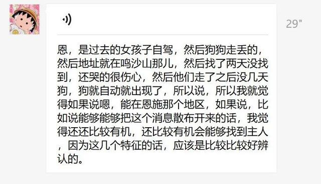 這只小狗在敦煌，等了你整整兩年