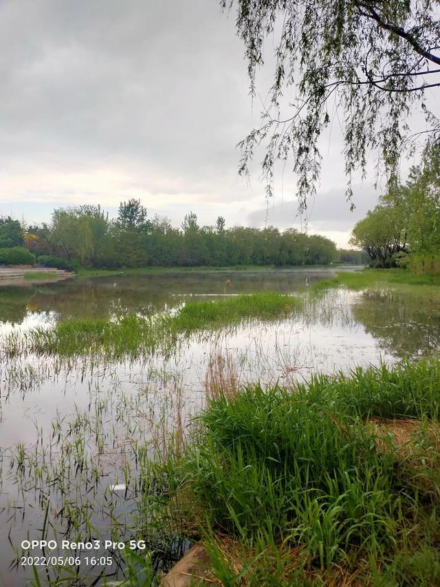 雨后戴河公园