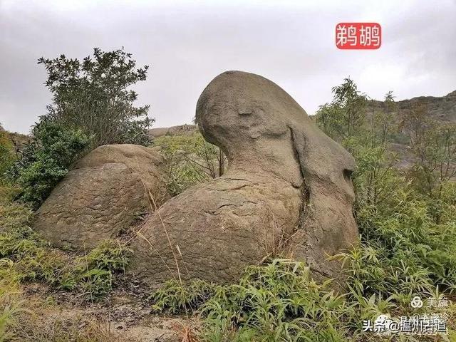 大羅山有處二師兄奇石，惟妙惟肖，你可找到過？