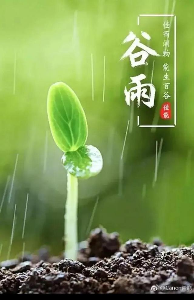 春雷第一声——婴儿哭声