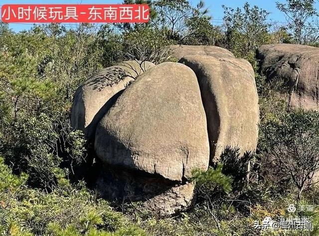 大羅山有處二師兄奇石，惟妙惟肖，你可找到過？