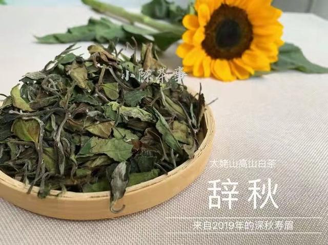 白茶晒一晒，防潮又提香？别傻了，再这么存白茶就废了