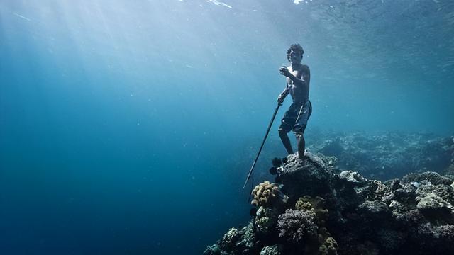 如果陆地都被水淹没，人类会进化成“人鱼”吗？