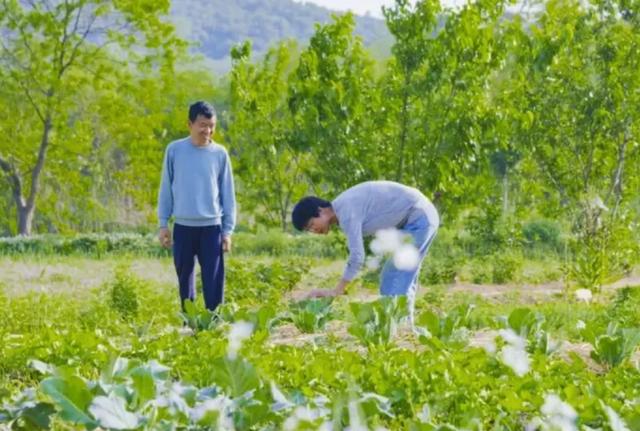 腾讯元老魏震：赚够钱后果断辞职，携妻儿退隐山林，每天种地喝茶